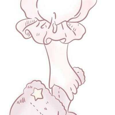 普京今日开启第25次访华